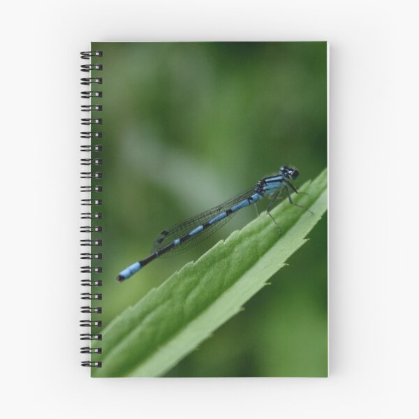 Item preview, Damselfly designed and sold by moietymouse.