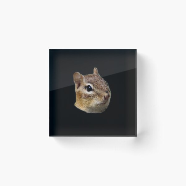 Item preview, Chipmunk designed and sold by nastogy.