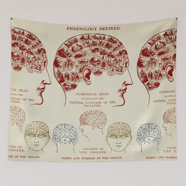 Item preview, Phrenology Arts, brain anatomy, old symbolical interpretation of the faculties area. designed and sold by LeAllureVintage.