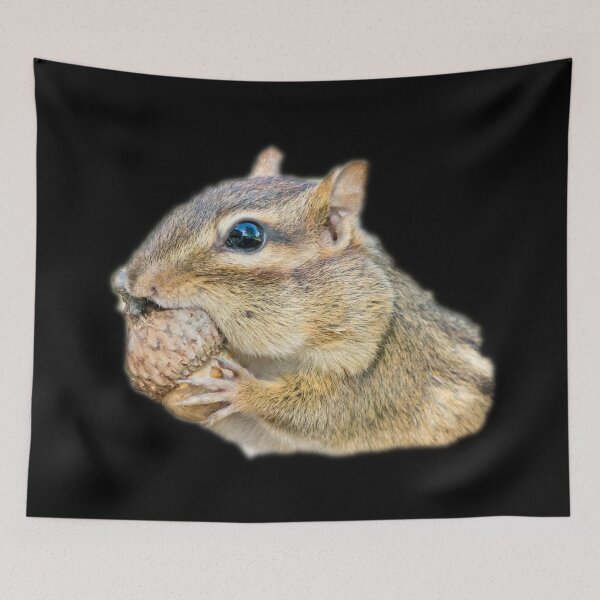 Item preview, Chipmunk With Nut designed and sold by nastogy.