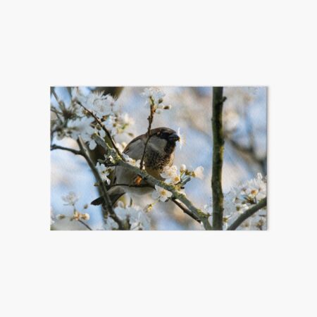 Lucky Bird Art Board Print