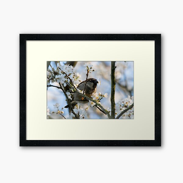Lucky Bird Framed Art Print