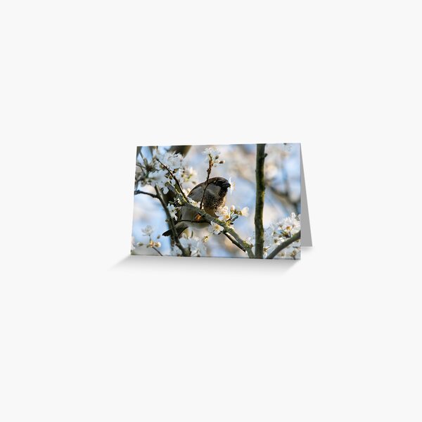 Lucky Bird Greeting Card