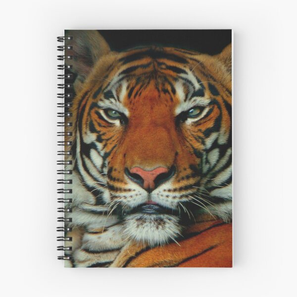 Item preview, kumar designed and sold by ctellis156.