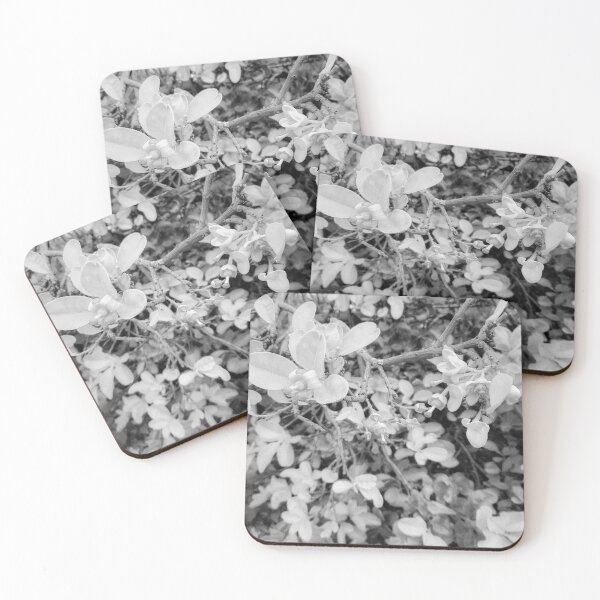 Item preview, Grapefruit Blooming Flower- B&W designed and sold by Designs By YL.