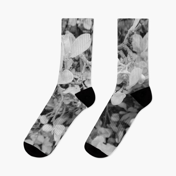 Item preview, Grapefruit Blooming Flower- B&W designed and sold by Designs By YL.