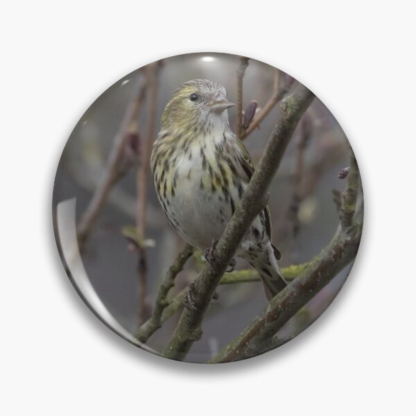 Item preview, Siskin designed and sold by LaurenTucker.