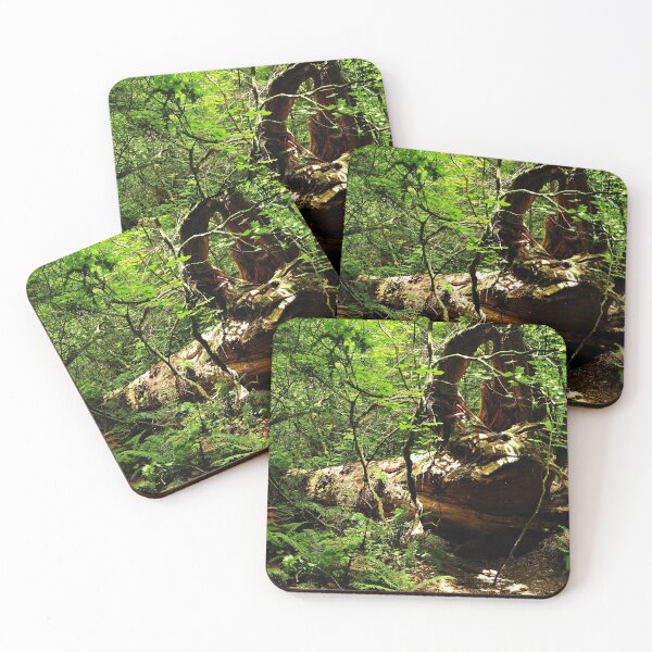 Item preview, Fallen Tree with Roots designed and sold by GoodVibesOcean.