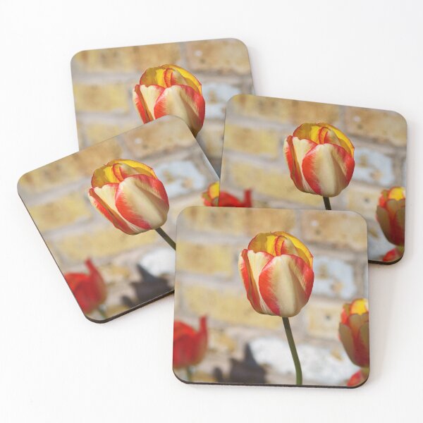 Item preview, Tulips and Brick #1 designed and sold by silverwheelarts.