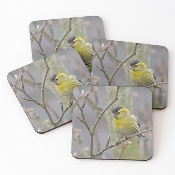 Item preview, Siskin designed and sold by LaurenTucker.
