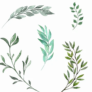Artwork thumbnail, Leaf Set by RIXXI HEY CO.