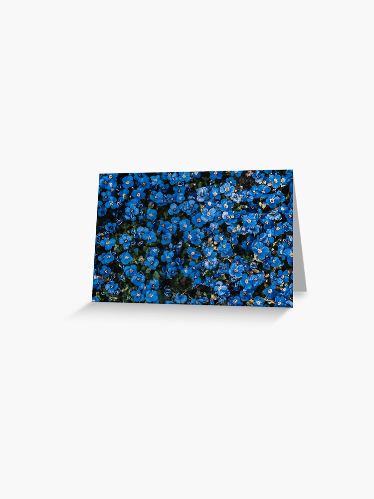 Tarjetas de felicitación «Hermosas flores azules florecientes» de  newburyboutique | Redbubble