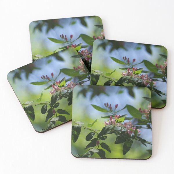 Item preview, Budding pink honeysuckle in May designed and sold by silverwheelarts.