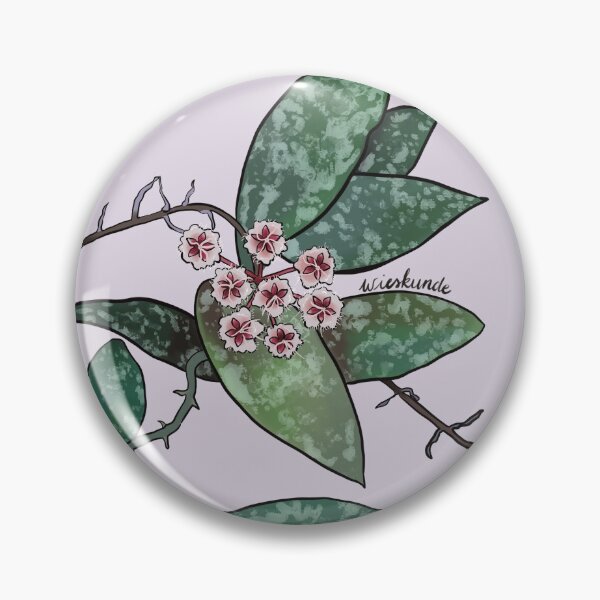 Item preview, Hoya flagellata in bloom designed and sold by Wieskunde.