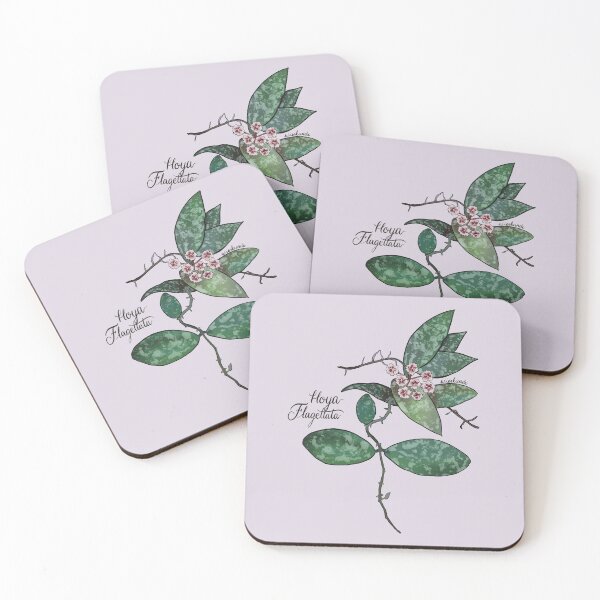Item preview, Hoya flagellata in bloom designed and sold by Wieskunde.