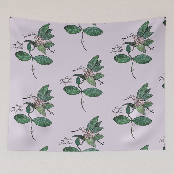 Item preview, Hoya flagellata in bloom designed and sold by Wieskunde.
