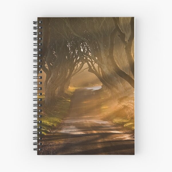 Item preview, Ireland - Roadway designed and sold by jhphotos.