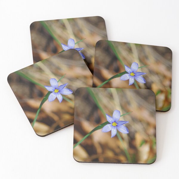 Item preview, Blue eyed prairie grass designed and sold by silverwheelarts.