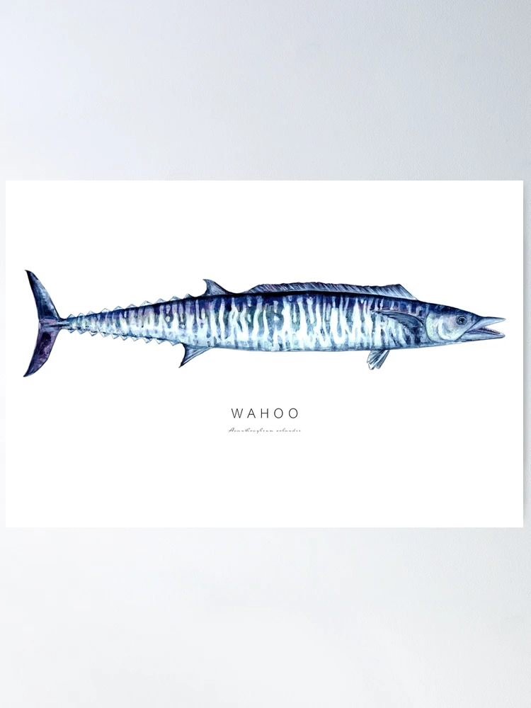 Funny Wahoo Is My Valentine Wahoo Fish Valentine_s Day Poster for Sale by  GEMABAGAOISAN