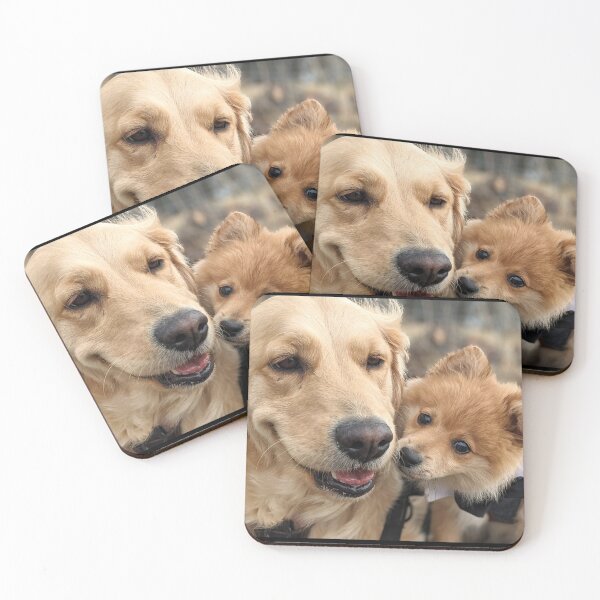Item preview, Best friends Bella & Kai (golden & pom) designed and sold by Fluffycat2020.