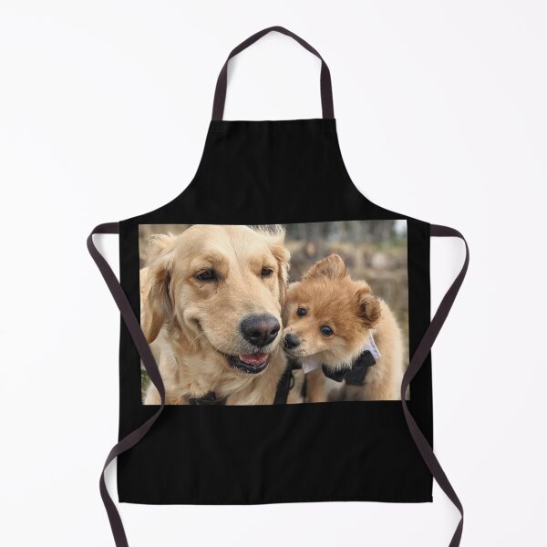 Item preview, Best friends Bella & Kai (golden & pom) designed and sold by Fluffycat2020.