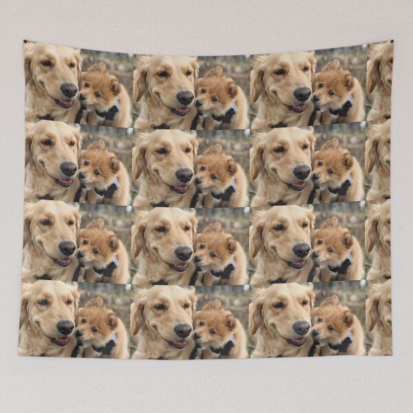 Item preview, Best friends Bella & Kai (golden & pom) designed and sold by Fluffycat2020.