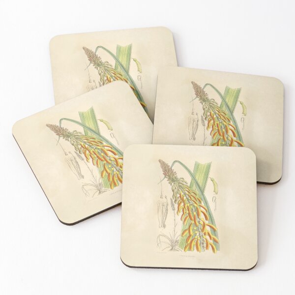 Item preview, Vintage Torch Lily Botanical Illustration designed and sold by Retro Society.