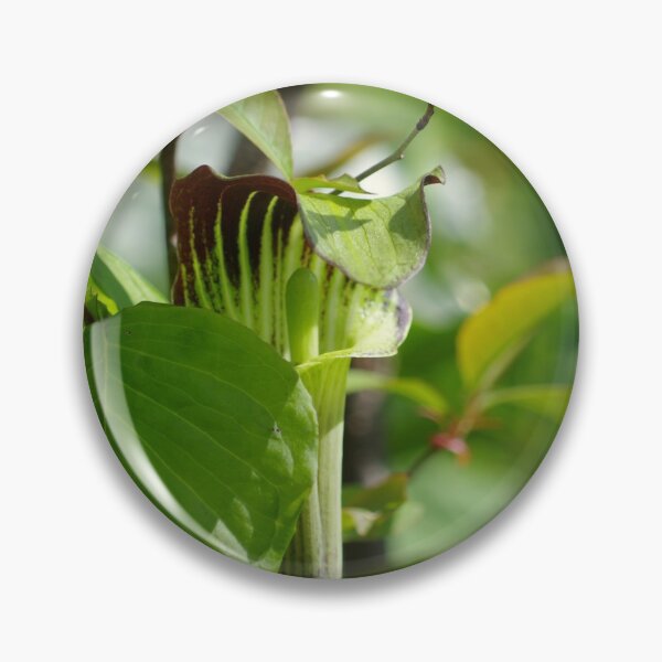 Item preview, Jack in the pulpit #1 designed and sold by silverwheelarts.