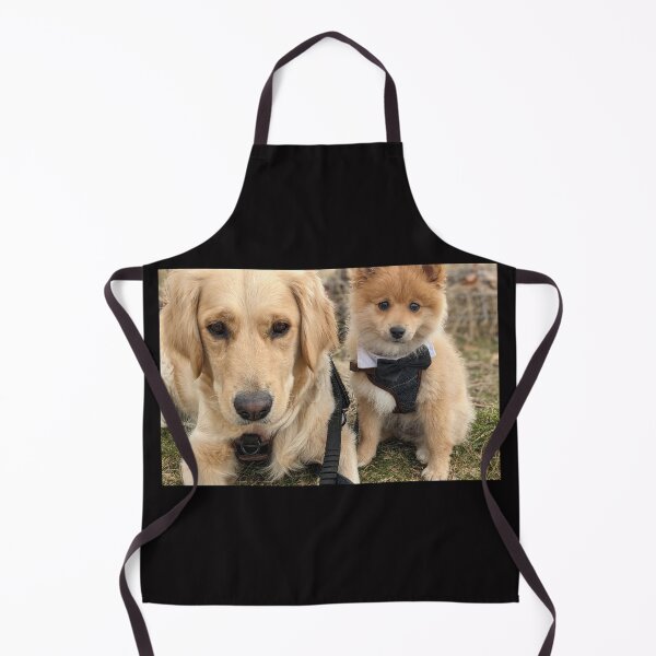Item preview, Best friends Bella & Kai (golden & pom) designed and sold by Fluffycat2020.