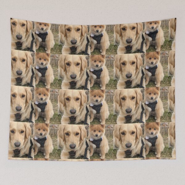 Item preview, Best friends Bella & Kai (golden & pom) designed and sold by Fluffycat2020.