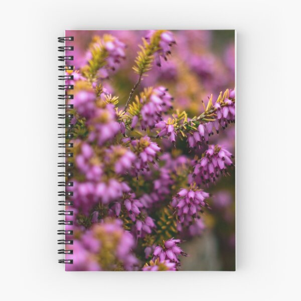 Item preview, Pink heather shrub designed and sold by yackers1.
