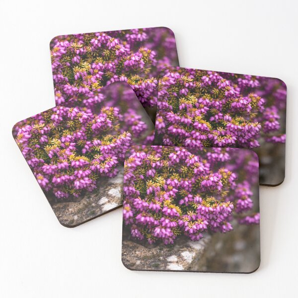 Item preview, Purple heather shrub designed and sold by yackers1.