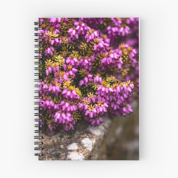 Item preview, Purple heather shrub designed and sold by yackers1.
