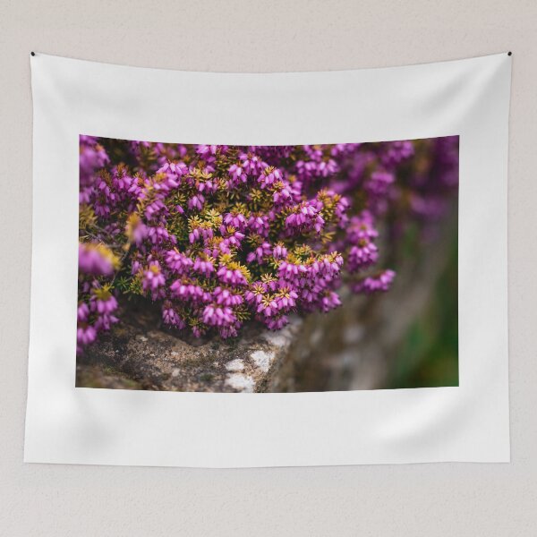 Item preview, Purple heather shrub designed and sold by yackers1.