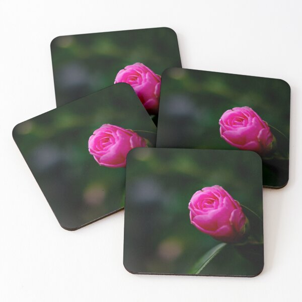 Item preview, Close up of a Japonica pink perfection camellia  designed and sold by yackers1.