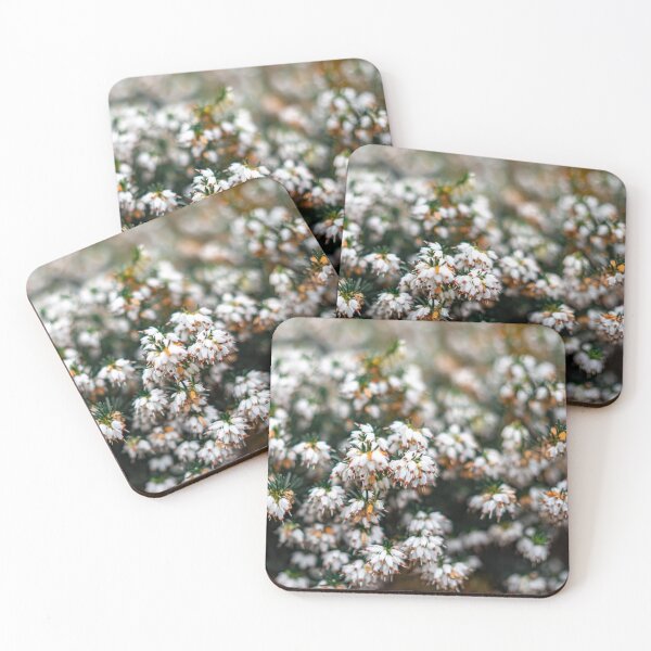 Item preview, White heather (Calluna vulgaris)  designed and sold by yackers1.