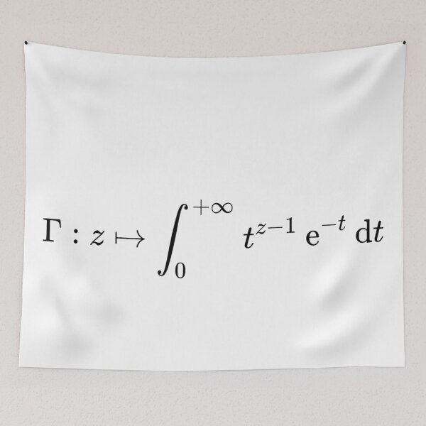 Item preview, Euler Gamma Function, calculus and math designed and sold by NoetherSym.