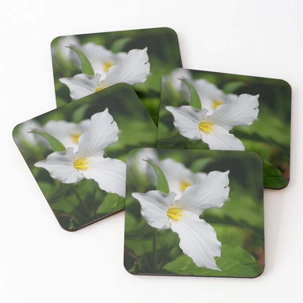 Item preview, Wild trillium in spring designed and sold by silverwheelarts.