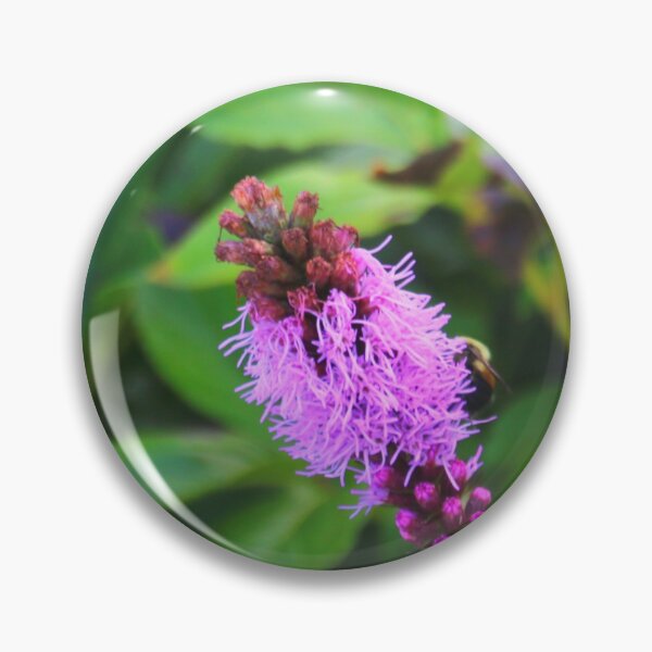 Aperçu de l'œuvre Fleurs denses étoiles flamboyantes dans des feuilles vertes denses Prairie Gay Feather créée et vendue par Mothe3rd.