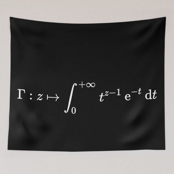 Item preview, Euler Gamma Function, calculus and math designed and sold by NoetherSym.
