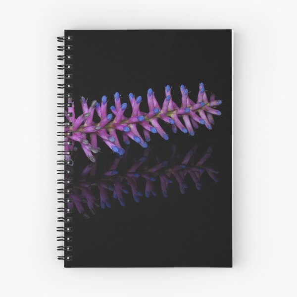 Item preview, Bromeliad Reflection designed and sold by rom01.