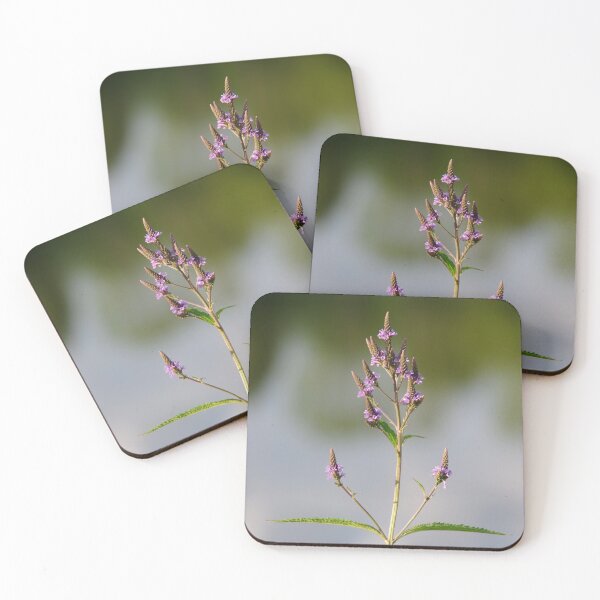 Item preview, Purple wildflower with pond reflection #1 designed and sold by silverwheelarts.
