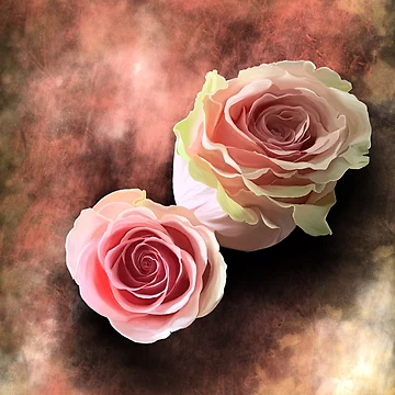 Artwork thumbnail, Rustic Roses by Kcinnik