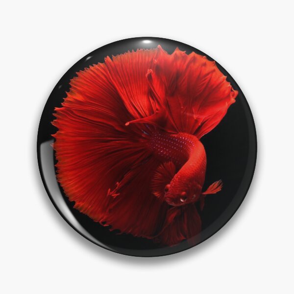 Item preview, Red betta fish designed and sold by PET-SHIRTS.