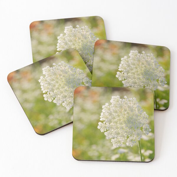 Item preview, Queen Anne's Lace #1 designed and sold by silverwheelarts.