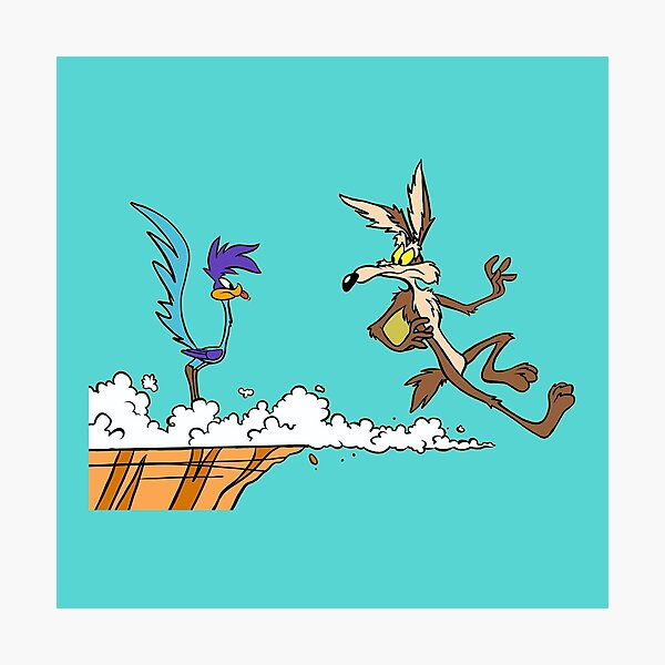 Coyote and Roadrunner Photographic Print