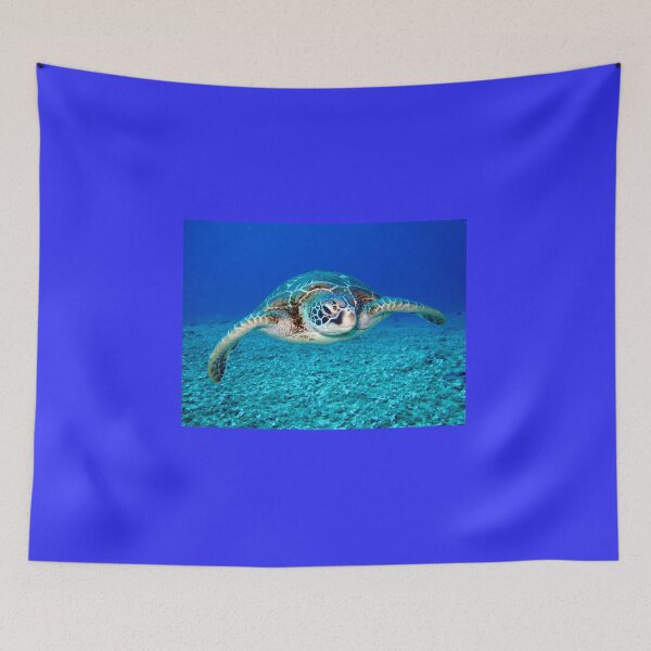 Item preview, Black and white turtle designed and sold by PET-SHIRTS.