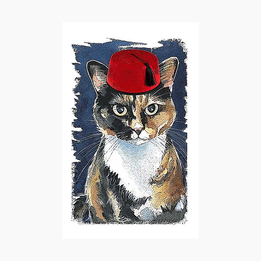 cat fez hat