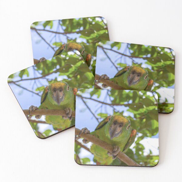 Item preview, the parrot designed and sold by ricobarinas.