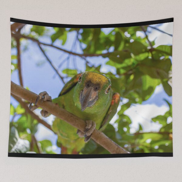 Item preview, the parrot designed and sold by ricobarinas.